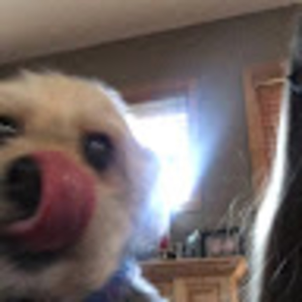 Meet your Posher, Cami